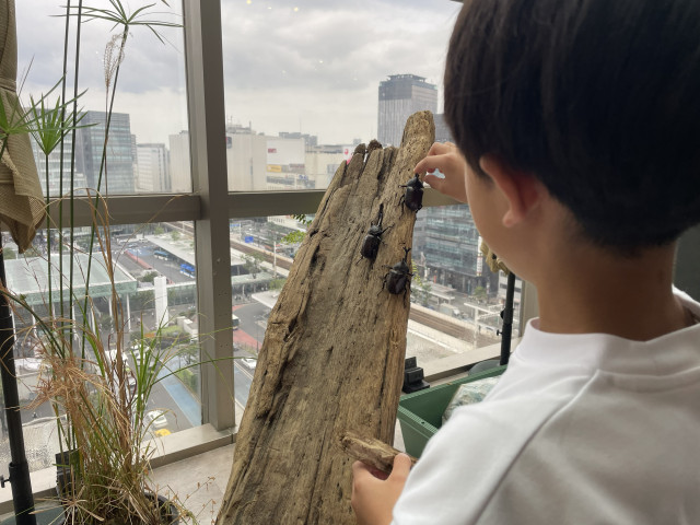 ふれあいイメージ